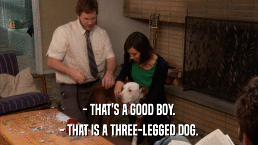- THAT'S A GOOD BOY. - THAT IS A THREE-LEGGED DOG. 