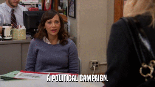 A POLITICAL CAMPAIGN.  