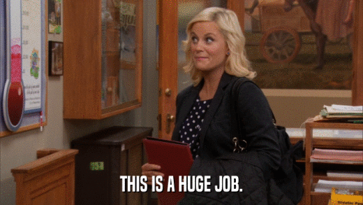 THIS IS A HUGE JOB.  