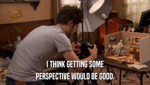 I THINK GETTING SOME PERSPECTIVE WOULD BE GOOD. 