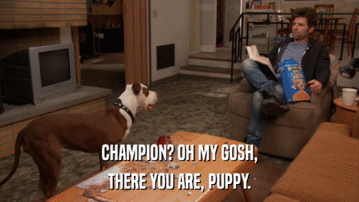 CHAMPION? OH MY GOSH, THERE YOU ARE, PUPPY. 