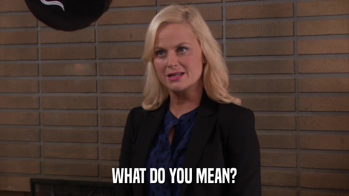 WHAT DO YOU MEAN?  