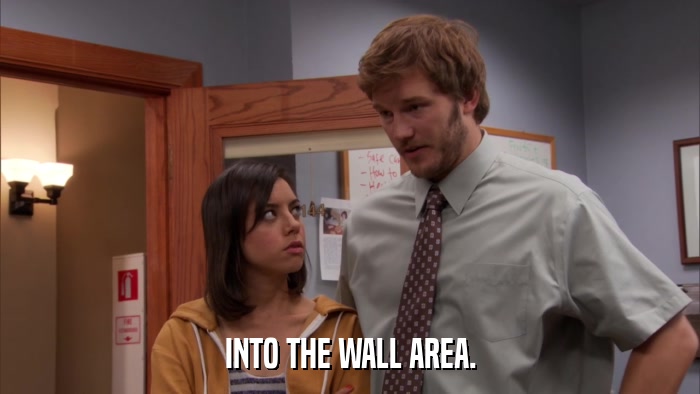 INTO THE WALL AREA.  