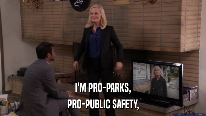 I'M PRO-PARKS, PRO-PUBLIC SAFETY, 