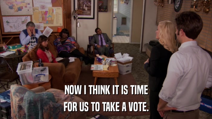 NOW I THINK IT IS TIME FOR US TO TAKE A VOTE. 