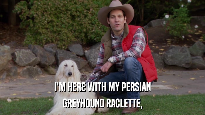 I'M HERE WITH MY PERSIAN GREYHOUND RACLETTE, 