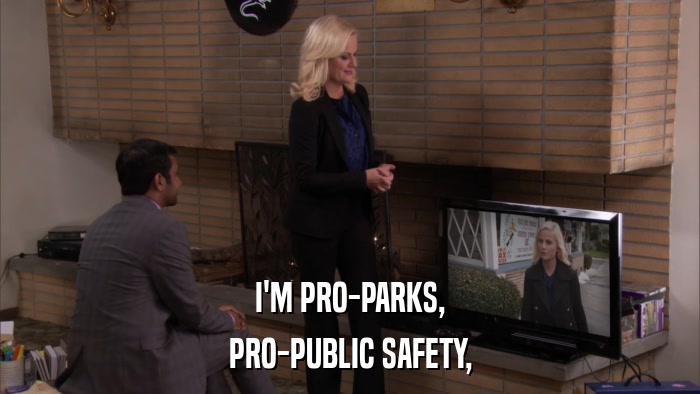 I'M PRO-PARKS, PRO-PUBLIC SAFETY, 