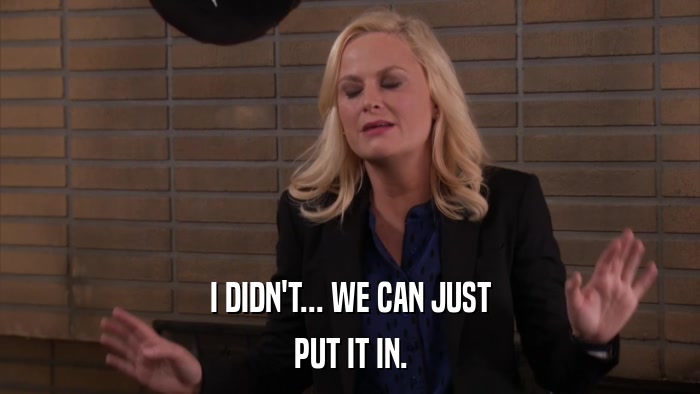 I DIDN'T... WE CAN JUST PUT IT IN. 