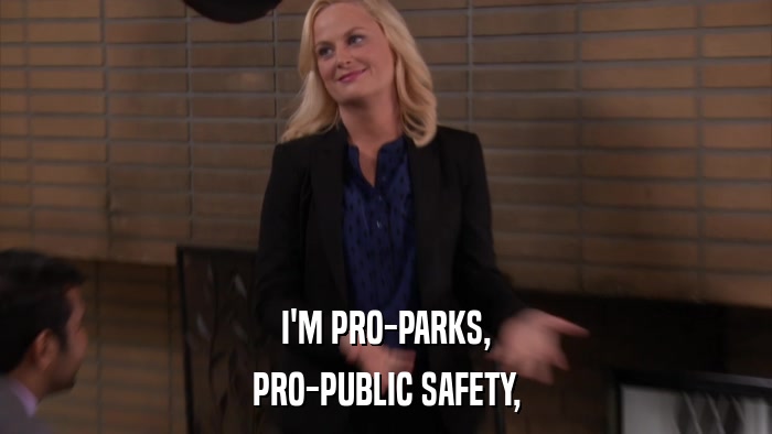 I'M PRO-PARKS, PRO-PUBLIC SAFETY, 