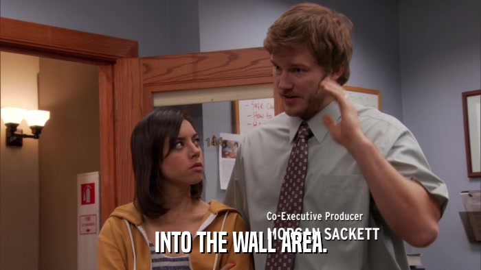 INTO THE WALL AREA.  