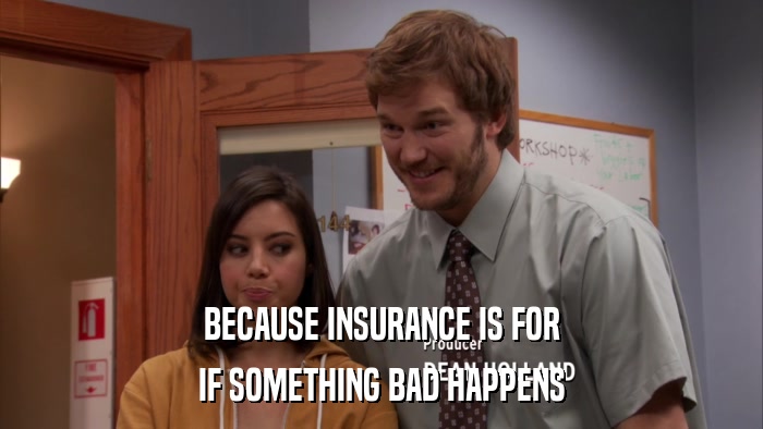 BECAUSE INSURANCE IS FOR IF SOMETHING BAD HAPPENS 