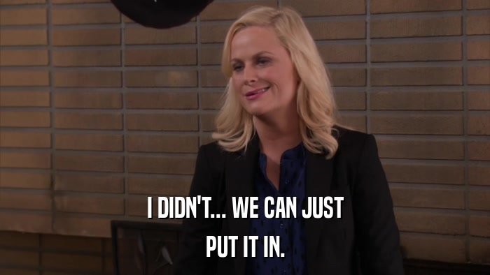 I DIDN'T... WE CAN JUST PUT IT IN. 
