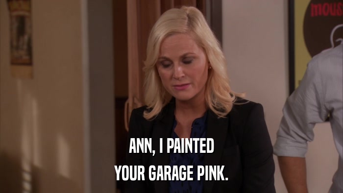 ANN, I PAINTED YOUR GARAGE PINK. 