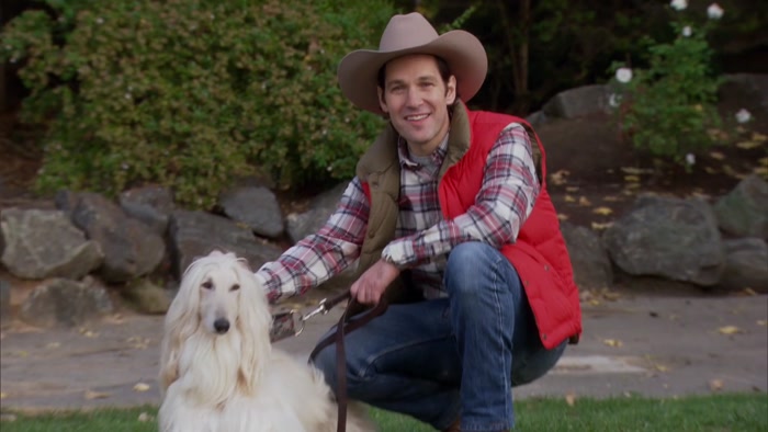 I LIKE DOGS.  