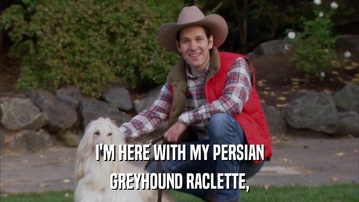 I'M HERE WITH MY PERSIAN GREYHOUND RACLETTE, 