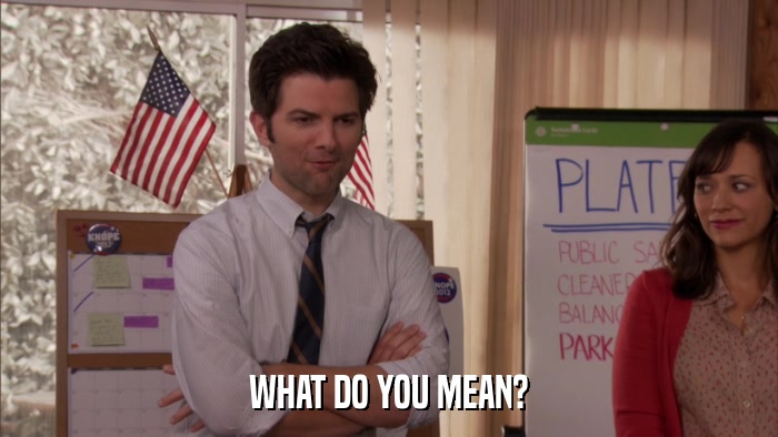 WHAT DO YOU MEAN?  