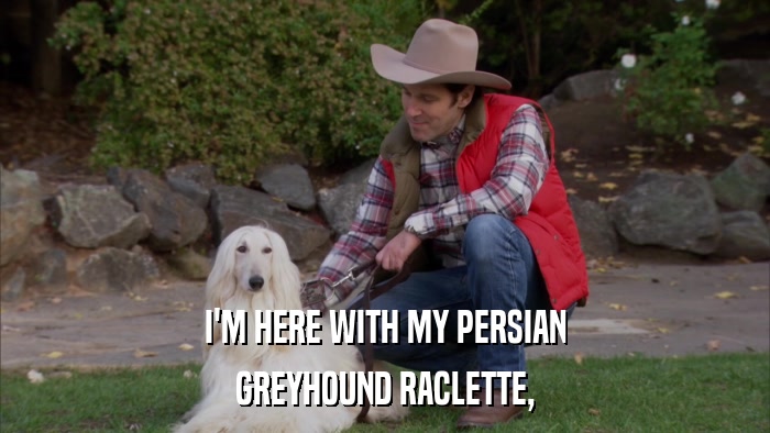 I'M HERE WITH MY PERSIAN GREYHOUND RACLETTE, 