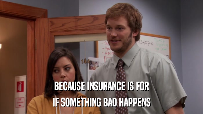 BECAUSE INSURANCE IS FOR IF SOMETHING BAD HAPPENS 