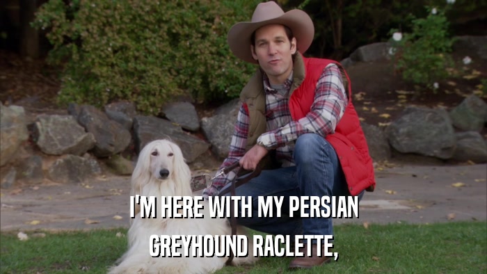 I'M HERE WITH MY PERSIAN GREYHOUND RACLETTE, 