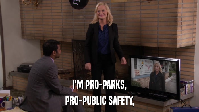 I'M PRO-PARKS, PRO-PUBLIC SAFETY, 