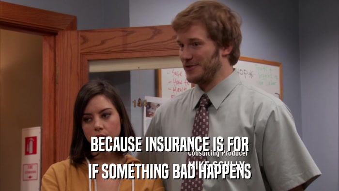 BECAUSE INSURANCE IS FOR IF SOMETHING BAD HAPPENS 