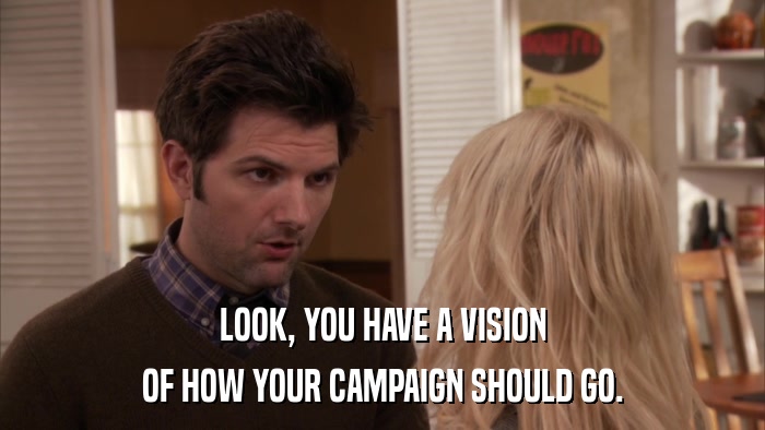 LOOK, YOU HAVE A VISION OF HOW YOUR CAMPAIGN SHOULD GO. 