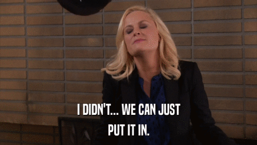 I DIDN'T... WE CAN JUST PUT IT IN. 