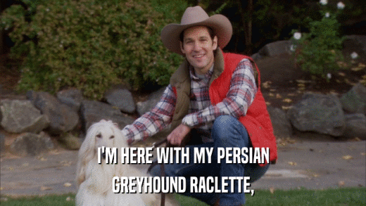 I'M HERE WITH MY PERSIAN GREYHOUND RACLETTE, 