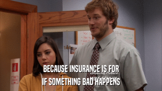 BECAUSE INSURANCE IS FOR IF SOMETHING BAD HAPPENS 