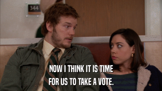 NOW I THINK IT IS TIME FOR US TO TAKE A VOTE. 