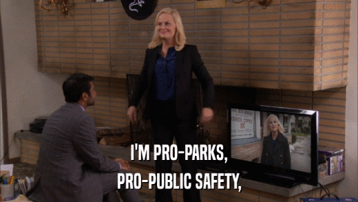 I'M PRO-PARKS, PRO-PUBLIC SAFETY, 
