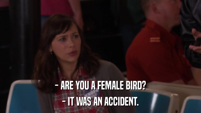 - ARE YOU A FEMALE BIRD? - IT WAS AN ACCIDENT. 
