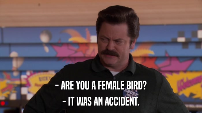 - ARE YOU A FEMALE BIRD? - IT WAS AN ACCIDENT. 