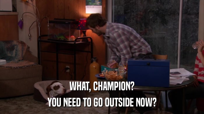 WHAT, CHAMPION? YOU NEED TO GO OUTSIDE NOW? 