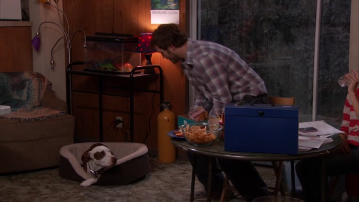 WHAT, CHAMPION? YOU NEED TO GO OUTSIDE NOW? 