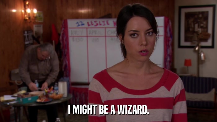 I MIGHT BE A WIZARD.  