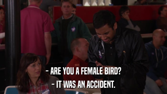 - ARE YOU A FEMALE BIRD? - IT WAS AN ACCIDENT. 