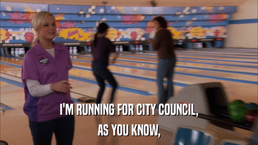 I'M RUNNING FOR CITY COUNCIL, AS YOU KNOW, 