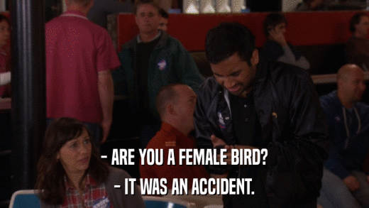 - ARE YOU A FEMALE BIRD? - IT WAS AN ACCIDENT. 