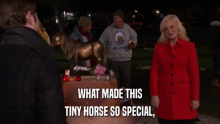 WHAT MADE THIS TINY HORSE SO SPECIAL, 