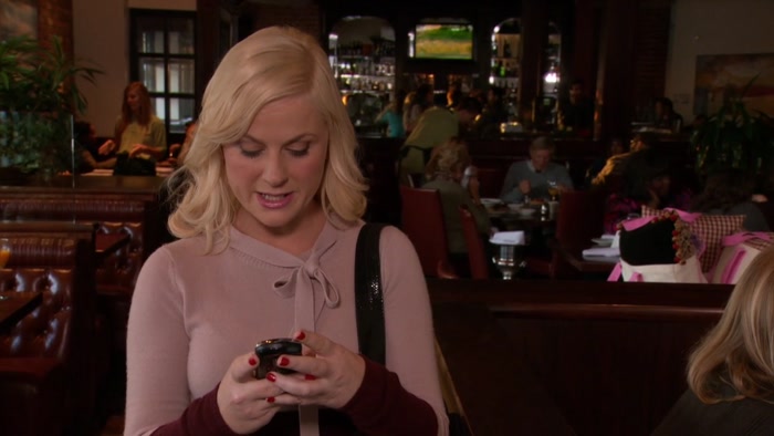 DEAR CONGRESS, IT'S LESLIE AGAIN. 