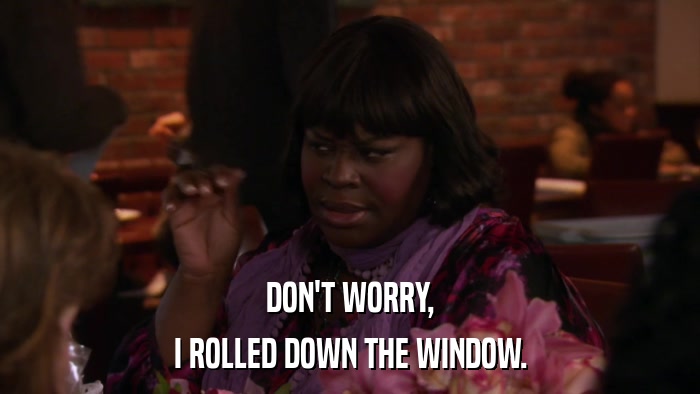 DON'T WORRY, I ROLLED DOWN THE WINDOW. 