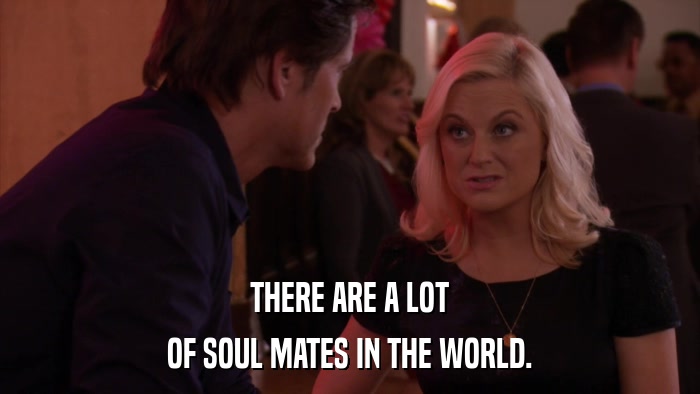 THERE ARE A LOT OF SOUL MATES IN THE WORLD. 