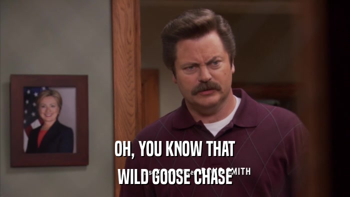 OH, YOU KNOW THAT WILD GOOSE CHASE 