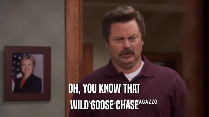 OH, YOU KNOW THAT WILD GOOSE CHASE 