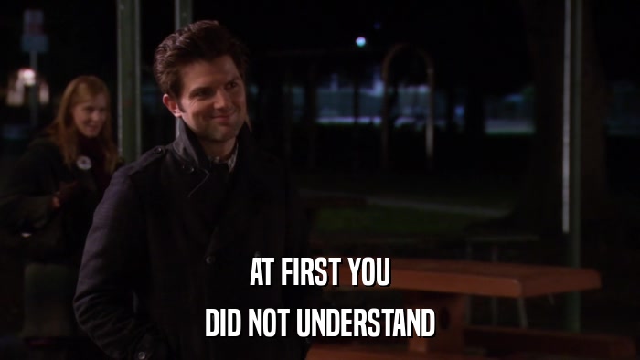 AT FIRST YOU DID NOT UNDERSTAND 