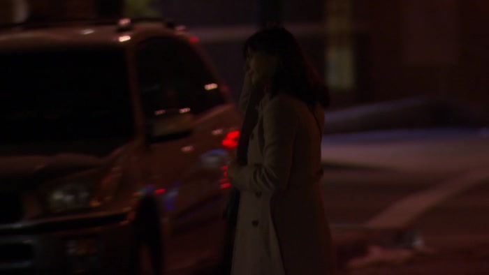 ANN WOULD NEVER DO ANYTHING TO PISS YOU OFF, LESLIE. 