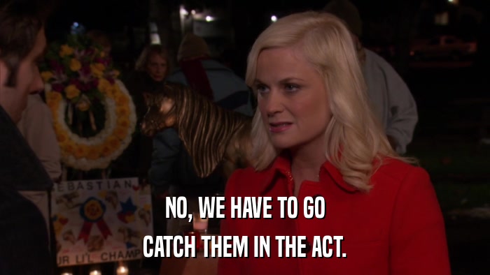 NO, WE HAVE TO GO CATCH THEM IN THE ACT. 