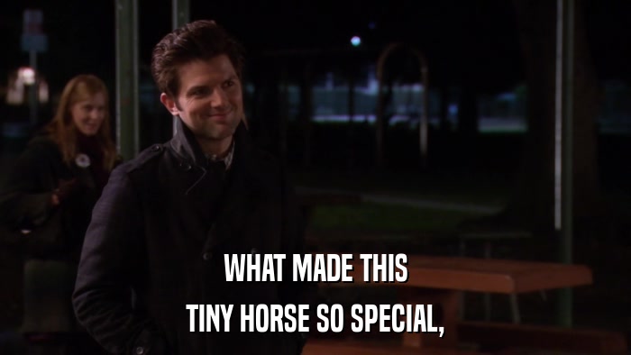 WHAT MADE THIS TINY HORSE SO SPECIAL, 