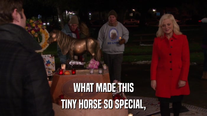 WHAT MADE THIS TINY HORSE SO SPECIAL, 